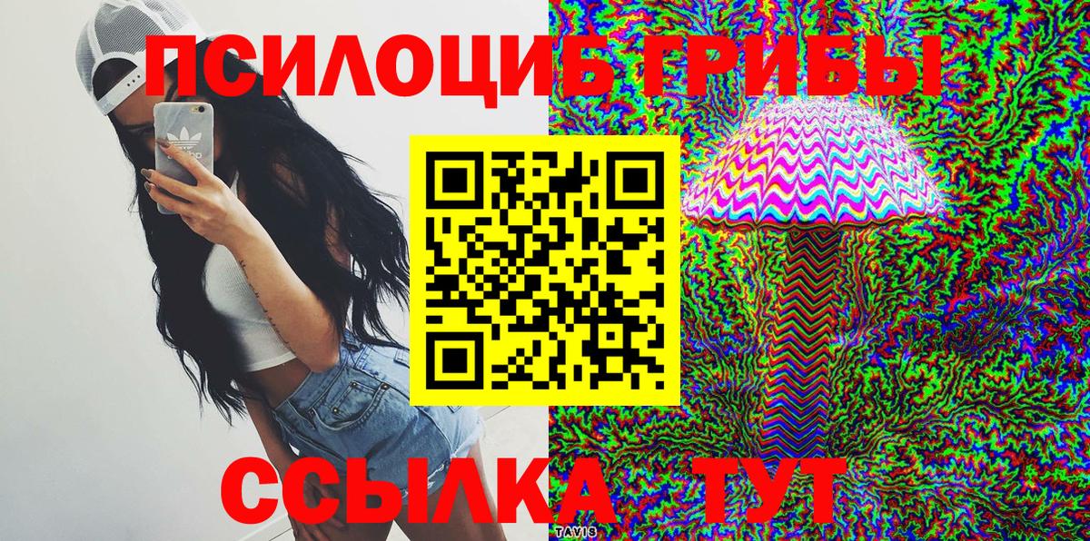 Галлюциногенные грибы Psilocybine cubensis  Вход с VPN  Клинцы 