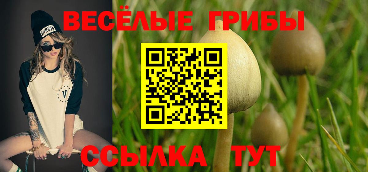 Галлюциногенные грибы GOLDEN TEACHER Клинцы